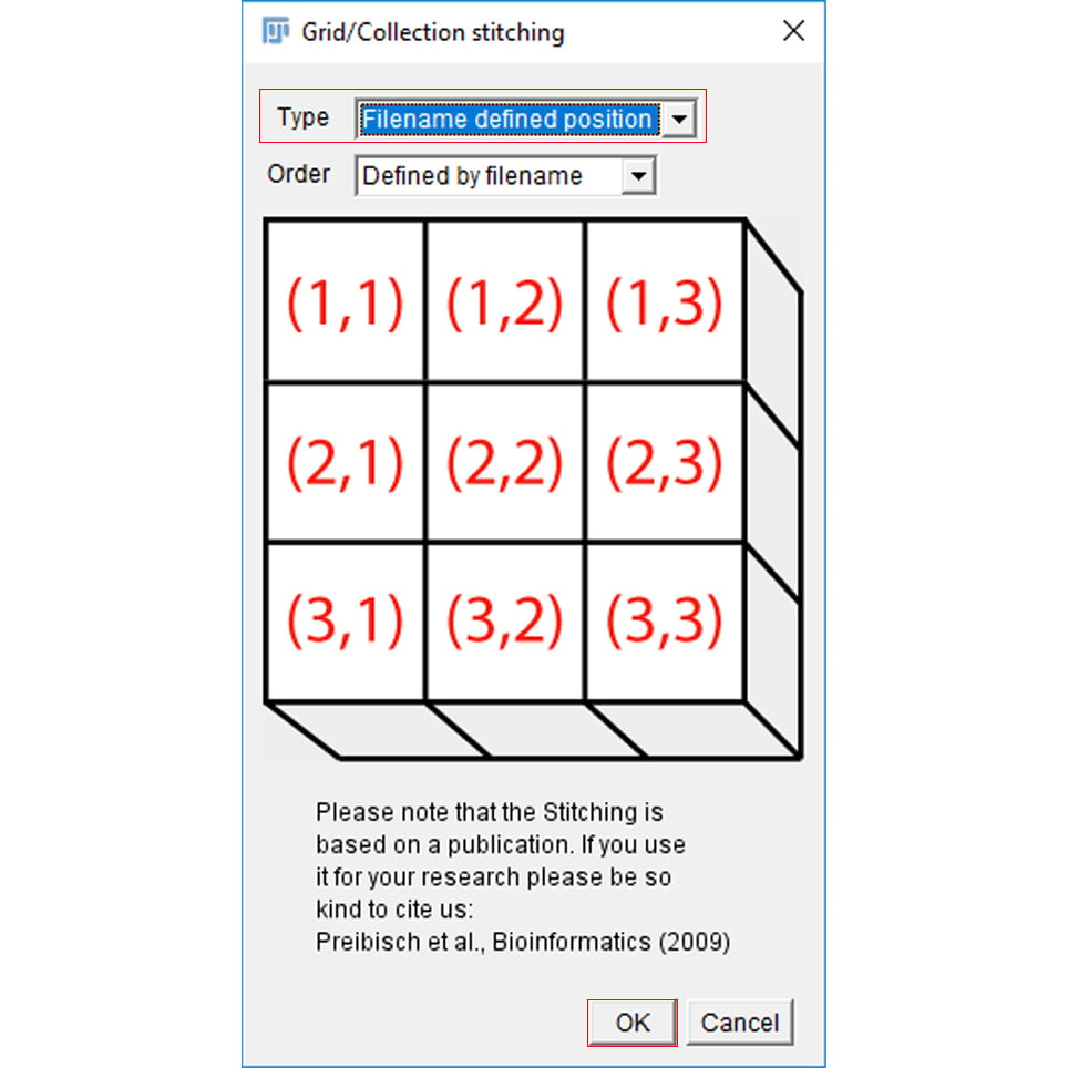 western blot quantification using imagej